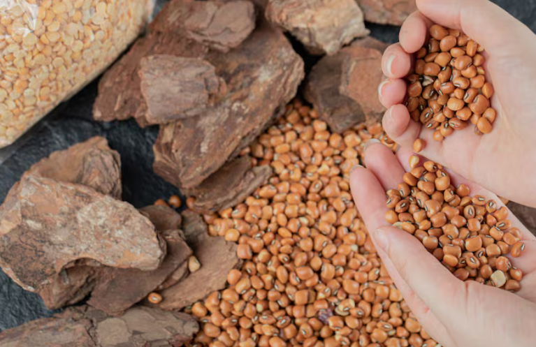 نخالة قشر الأرز