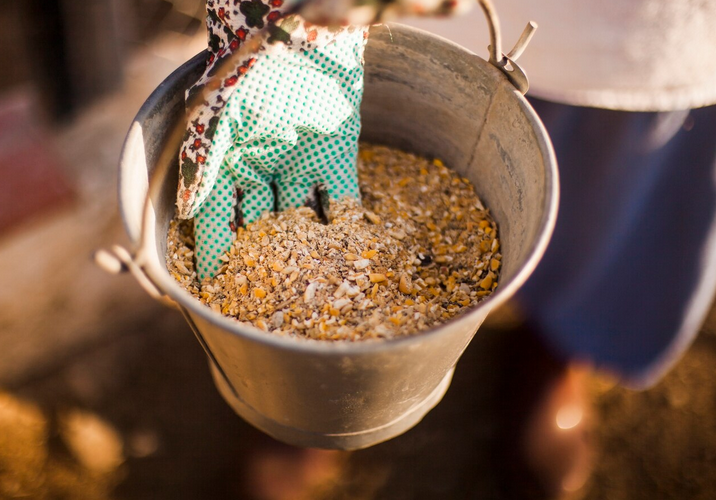 البوادي الخضراء لصناعة الأعلاف وطحن الحبوب