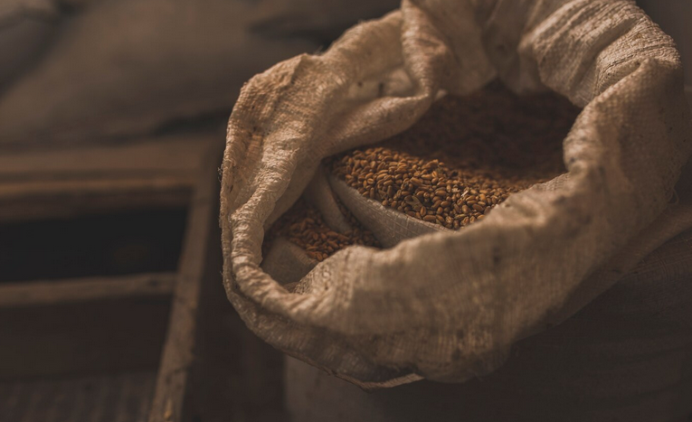 جودة تغذّي النمو والإنتاج