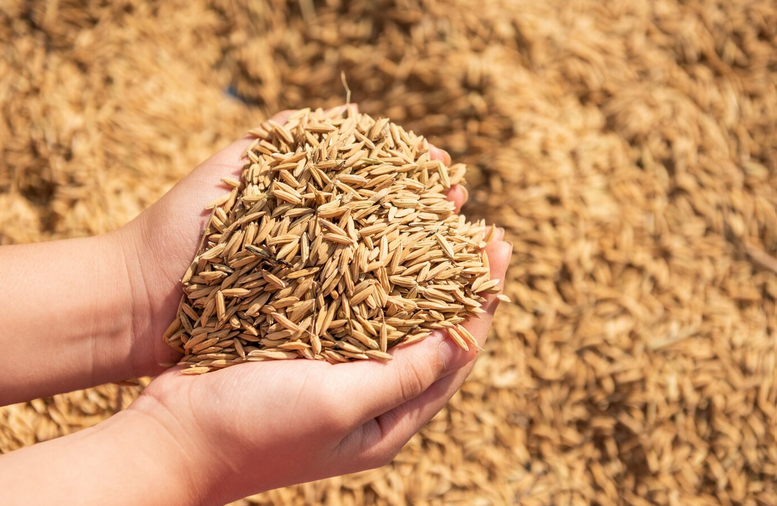 شريكك في تطوير الثروة الحيوانية